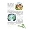 The Compassion Storybook Bible