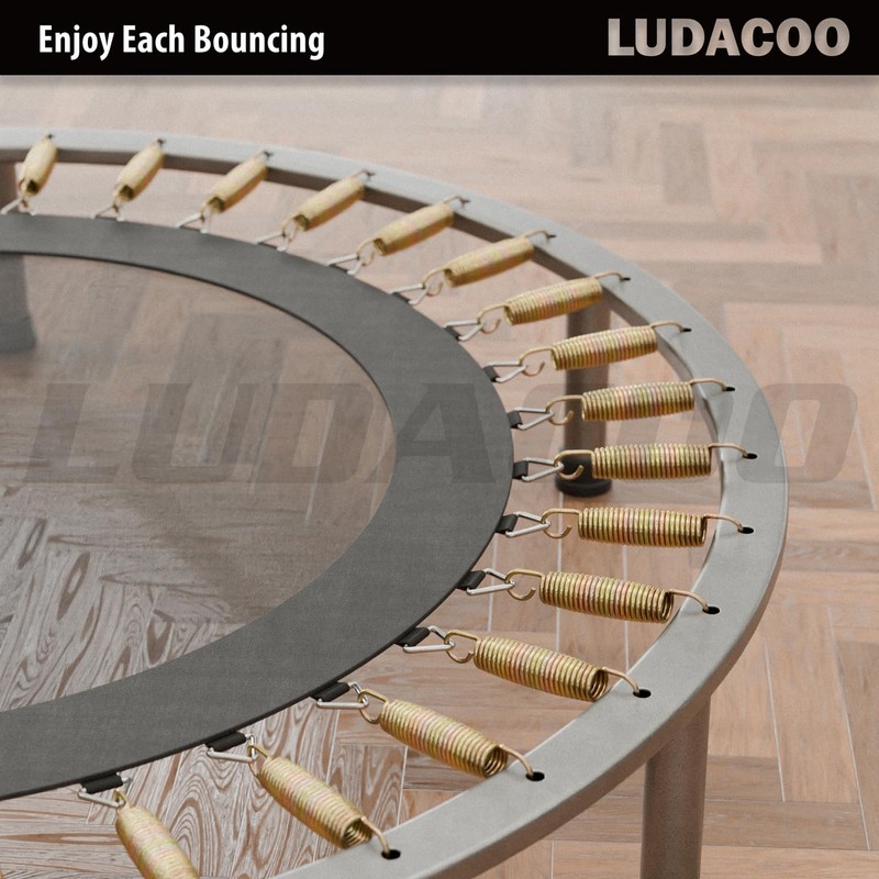 LUDACOO 3.5"-8.5" Trampoline Springs, Heavy Duty Stainless Steel Trampoline Accessories