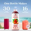 Smartfruit Summer Strawberry + Antioxidants – 100% Real Fruit Purée