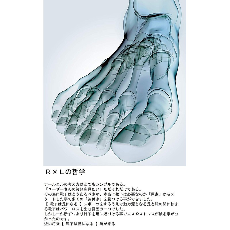 R-L Socks TRG800 Men's Running Socks, navy