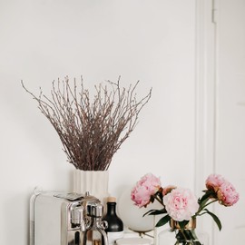 Uieke 200PCS Birch Twigs – 17 Inch Natural Dried Plants Decorative Birch Branches for DIY Crafts, Birch Sticks for Vases Wedding Arrangements Home Wreath Decor