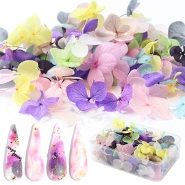 1 Bag Dried Flowers, Lace Like Pattern, Natural Pressed Flowers, Can Also Be Used For Nails and Handcrafts, Gel Nail Decor, Material, Nail Parts (50 Pieces)