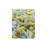 Lemon Sour Hard Candy Balls - 5lb Bulk Bag -