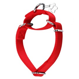 Dazzber Martingal Collars for Dogs, Adjustable, Durable, No Escape Stop, Pull Nylon Dog Collar, for Large/Medium/Small Dogs