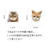 Cat Sticker Set, Cute Cat Stickers, 100 Sheets, Cat Waterproof