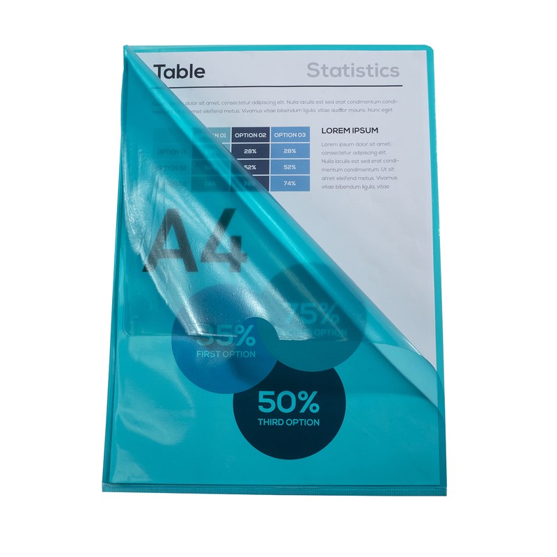 Exacompta - Ref 660500E - PVC Cut Flush Folder -