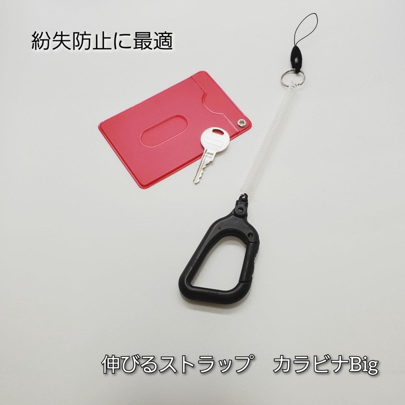 BeyonMind Key Pass Case, Lost Prevention, Expandable Strap, Carabiner Big,