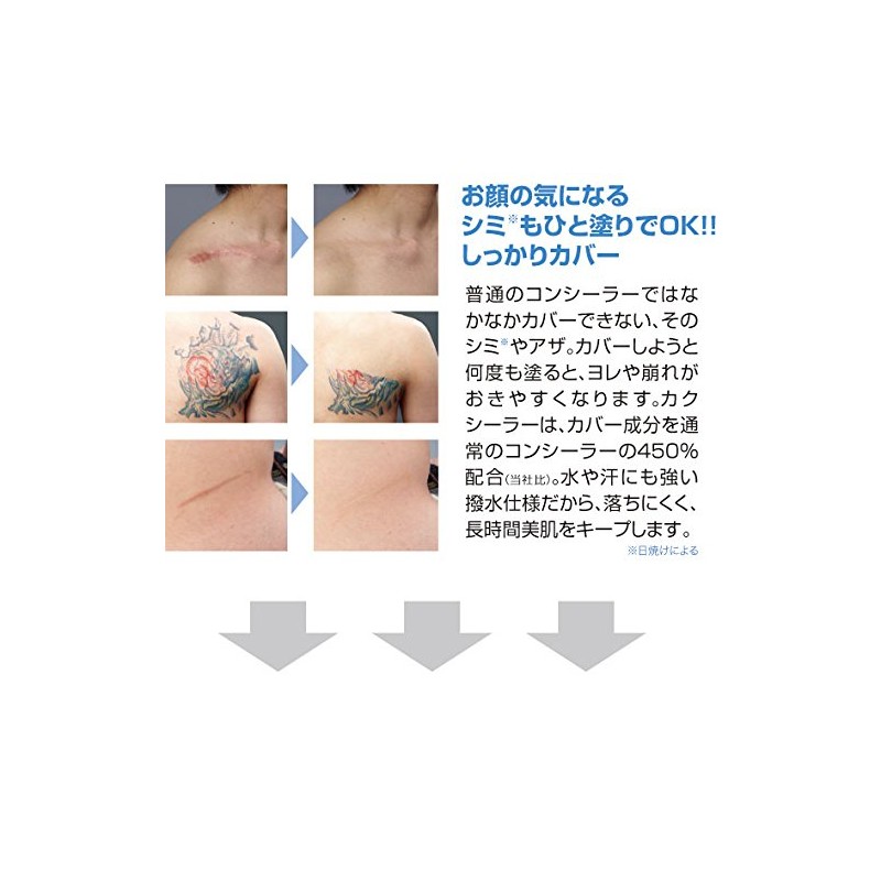 PROIDEA（プロイデア） カクシーラーEX【ﾅﾁｭﾗﾙ】