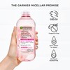 Garnier SkinActive Micellar Water with Rose Water and Glycerin, Facial