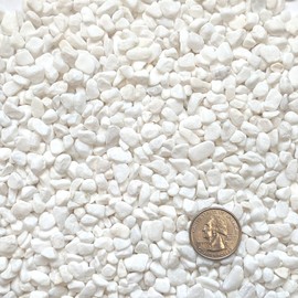 Midwest Hearth Natural Decorative White Bean Pebbles 1/5" Size (2-lb Bag)