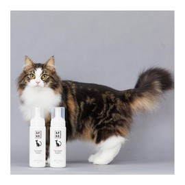 【Developed in collaboration with cat experts】A.P.D.C. Professional Foaming Shampoo for Cats, Natural, 180ml, Suitable for All Cat Breeds, Rinse-Free Shampoo, Foam Shampoo, Antibacterial, Deodorizing