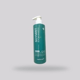 Medicube [Medicube] Medicube Soy Mint Scaling Dandruff Shampoo Citrus 490ml x 2 / [메디큐브] 메디큐브 소이민트 스케일링 비듬샴푸 시트러스 490ml x 2개