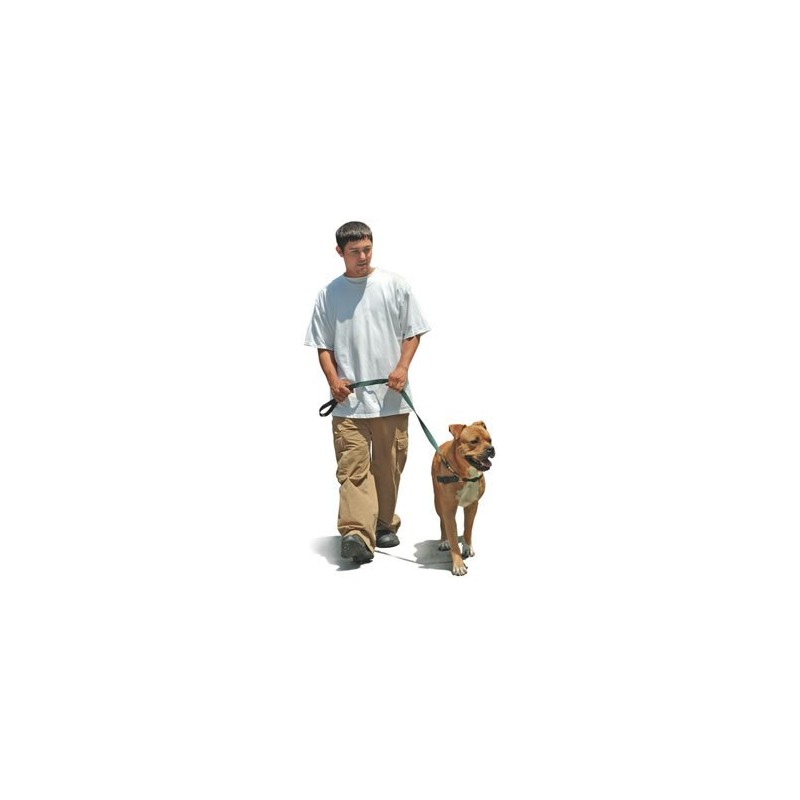 Softouch Concepts Sense-ation No-Pull Dog Harness - Black Medium/Large (Narrow)
