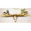Ebros Gift Rustic Western Moose Elk Skull With Point Hook