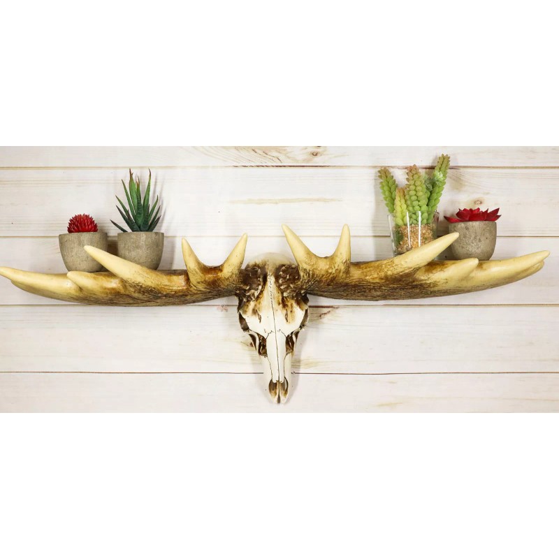 Ebros Gift Rustic Western Moose Elk Skull With Point Hook