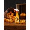 HOWARD - Orange Oil Wood Polish - Revitalize and Conditions