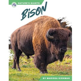 Bison