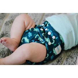 Babygoal Cloth Diaper Covers 6 Pack+Wet Bag for Fitted Diapers and Prefolds with Double Gussets, Adjustable and Reusable for Baby Boys 6DCF08