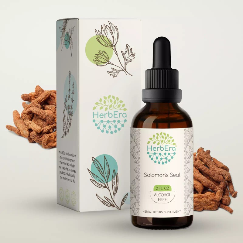 HerbEra Solomon's Seal Alcohol-FREE Tincture Wildcrafted (Polygonatum odoratum) - 2
