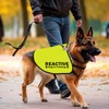 Cenwa Reactive Dog Jacket Vest for Training & Warning (Service