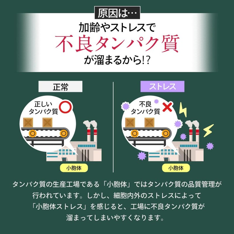 オーガランド (ogaland) メリハリオイル (30粒 / 約1ヶ月分)