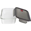 ZWILLING Gusto Food Storage Container, 0.6-qt, clear