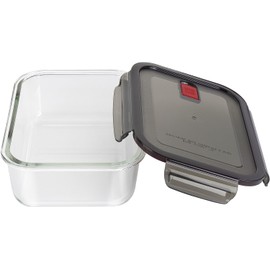 ZWILLING Gusto Food Storage Container, 0.6-qt, clear