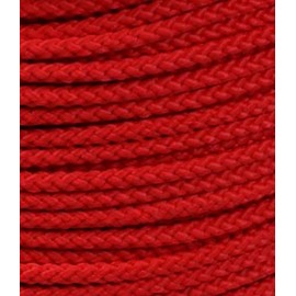 US Ropes Type III Commercial 550 by 100' Made in The USA Survival Cord Parachute Outdoor Flags Sports Team Racing (Red Flag)