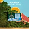 Jabón En Barra Irish Spring Icy Blast Para Hombres, Jabón