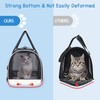 BurgeonNest Cat Carrier for Large Cats 20 lbs,Medium Pet Under