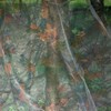 KCT Camouflage Hiding Net Screen 10m x 1.6m For Outdoor