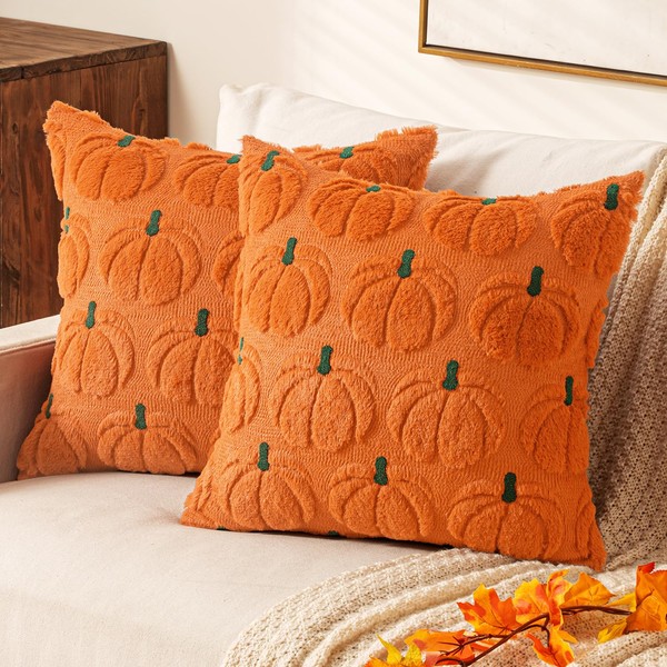 EMEMA Fall Embroidered Pumpkin Throw Pillow Covers 18x18 Set of