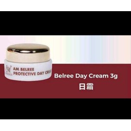 READY STOCK AM BELREE DAY CREAM 旧包装20GM/3G