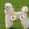 LBSBO - Pendientes de caniche de 1922, regalo de hermandad,