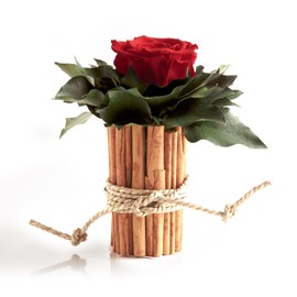 ROSEMARIE SCHULZ Heidelberg 1 Eternal Rose Red Vase Cinnamon Sticks Flower Arrangement Preserved (Red)