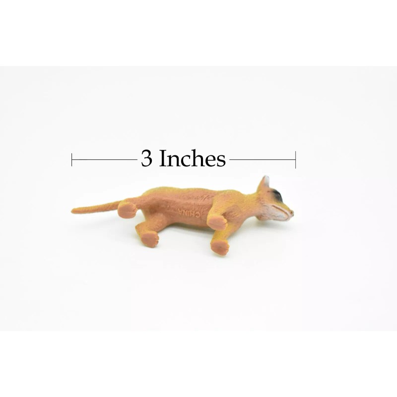 CWG Tasmanian Tiger, Thylacine, Very Nice Plastic Animal Toy, 3"