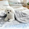 Premium Cooling Blanket for Medium Dogs, Cool-to-Touch Washable Mat for