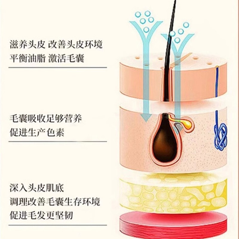 Tong Ren Tang 南京同仁堂 首乌生姜 洗发水 Polygonum multiflorum & Ginger