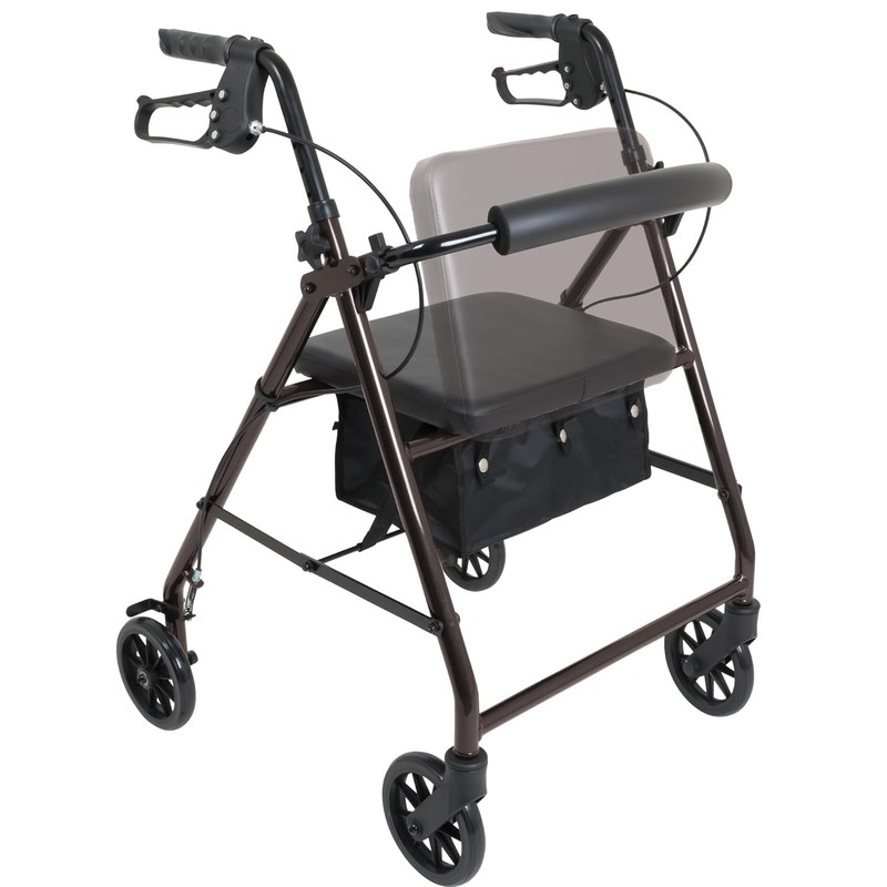 ProBasics Aluminum Rollator with 6-inch Wheels, Padded Seat and Backrest,