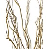 Green Floral Crafts | 12 Stem Dried Curly Willow Branches