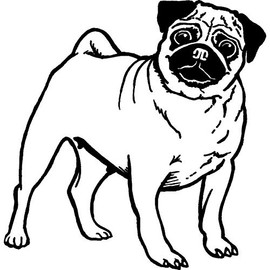 A7 'Pug Dog' Unmounted Rubber Stamp (RS00010300)