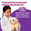 Little Live Pets Ouchies Cooper The Retriever Puppy, 50+ Sounds,