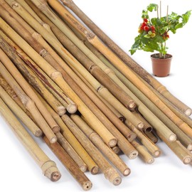 Suclain Bamboo Plant Stakes Plant Support Stakes Indoor and Outdoor Garden Sticks Garden Stakes for Tomato, Bean, Flowers, Trees Potted and Climbing Plant Support(30 Pcs,1.35 ft)