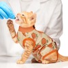 DENTRUN Cat Recovery Suit Soft Cat Surgery Recovery Suit for