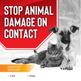 ANIMAL STOPPERS, Dog & Cat Granular Animal Repellent, All Natural, Effective All Year Round, Safe for People and Pets, No Harsh Chemicals, Ready to Use, Dog & Cat Repellent - 40 lb. Box