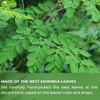 TOG999, Premium 60 Moringa Leaf Tea Bags, 100% Natural &