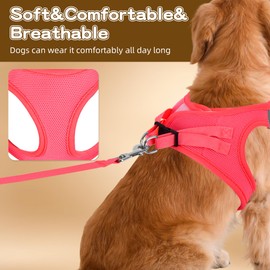 Pet Harness No Pull for Small Dogs and Cats,Breathable Mesh,0.55FIT,S