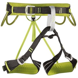 CAMP Alpine Flash Carabiner, Black/Green, XS