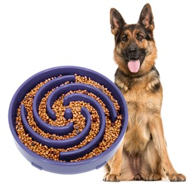 JASGOOD Slow Feeder Dogs Bowl for Large Medium Dogs,Anti-Gulping Pet Slower Food Feeding Bowls Stop Bloat,Preventing Choking Healthy Design Dogs Bowl