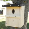 Nesting Box Garden Redstart 48/32 mm Kit